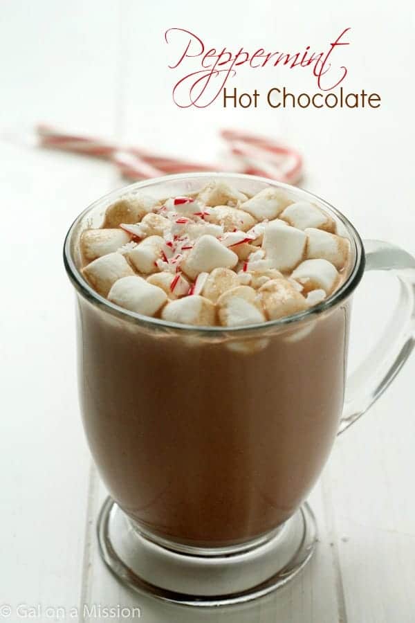 Peppermint Hot Chocolate - Gal on a Mission
