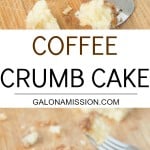 A soft, moist, and easy-to-make coffee crumb cake recipe that is heavy on the crumbs. Everyone will love it!