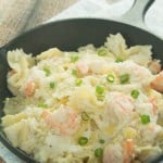 A healthy and absolutely delicious Creamy Shrimp Pasta Recipe!