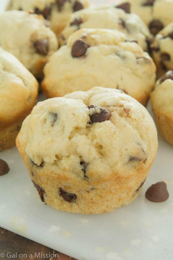 Easy Chocolate Chip Muffins Recipe - So moist and delicious!