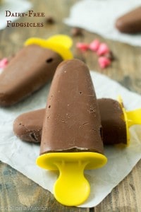 Dairy-Free Fudgsicles