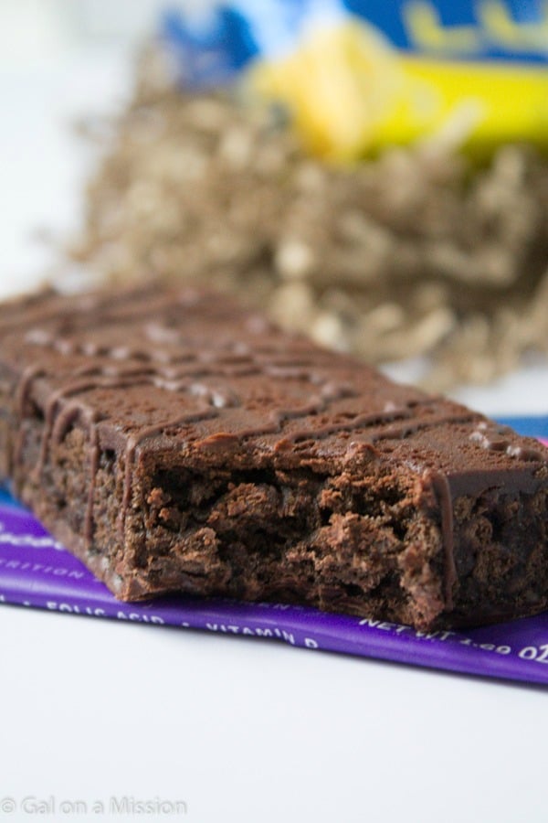 Our New Favorite Gluten-Free Snack on the Go! - Gal on a Mission