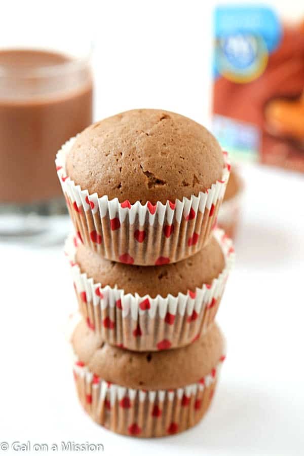 Dairy-Free Chocolate Muffins Recipe - If you are a fan of muffin recipes, you are going to love these! Perfect muffins for kids and adults! Moist and tender with the perfect chocolate flavor.