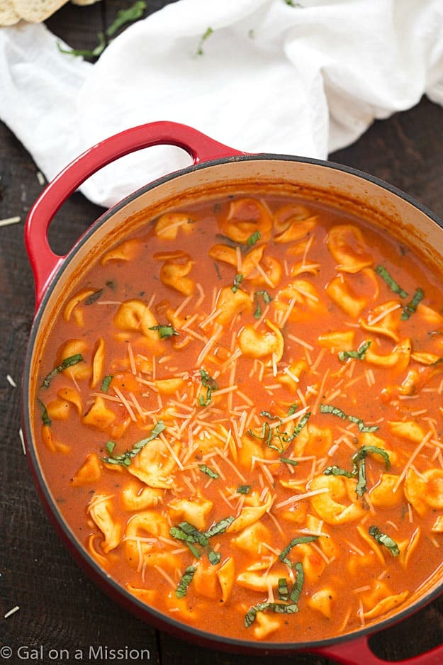 One-Pot Tomato and Basil Tortellini Soup - Gal on a Mission