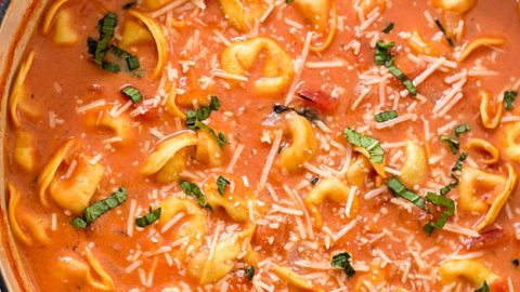 One-Pot Creamy Tomato Tortellini Soup Recipe - The EASIEST homemade creamy tomato tortellini soup made from scratch! Loaded with fresh herbs, diced tomatoes, and three-cheese tortellini! So easy you can even make it in your slow cooker!
