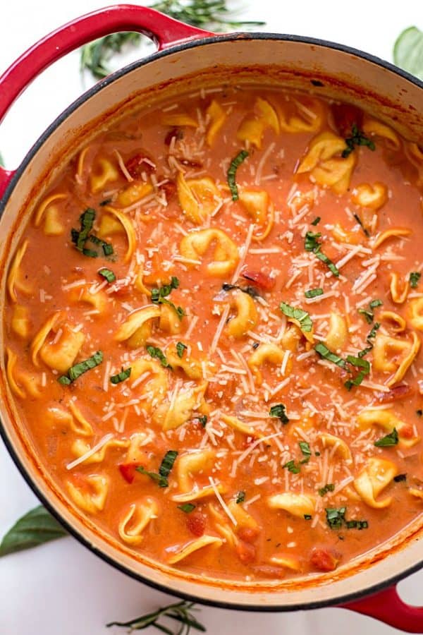 OnePot Creamy Tomato Tortellini Soup Gal on a Mission