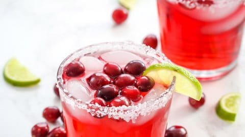cranberry margarita recipe ocean spray