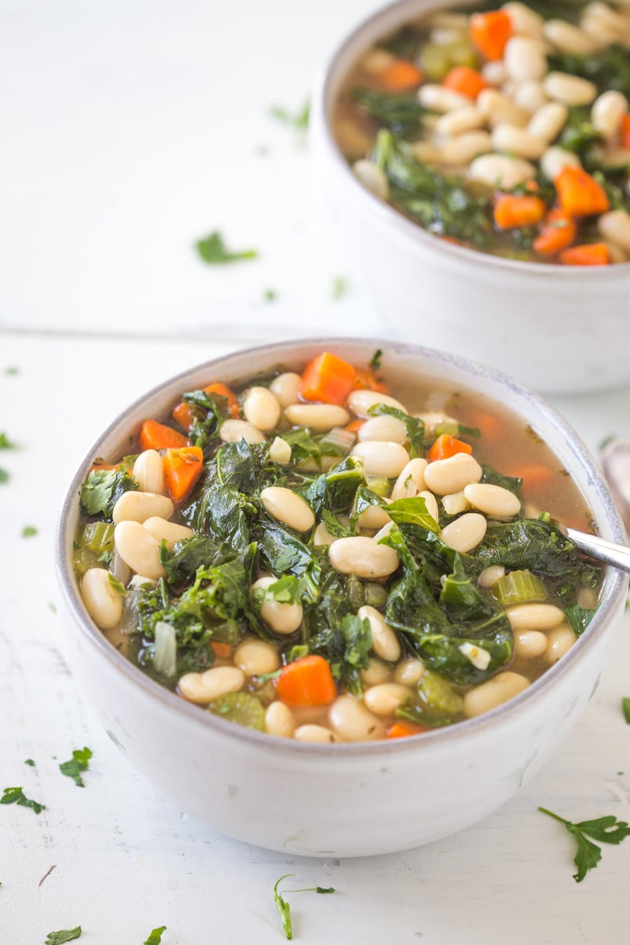 looking down on a bowl of soup with white beans, carrots, and kale