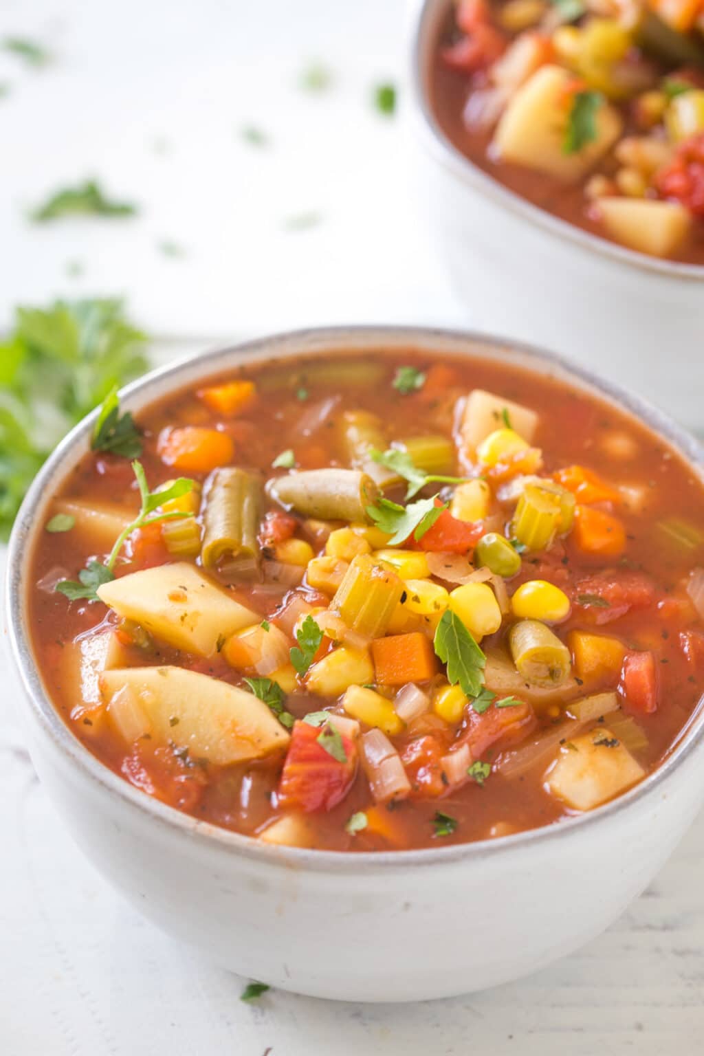 Slow Cooker Vegetable Soup - Gal on a Mission