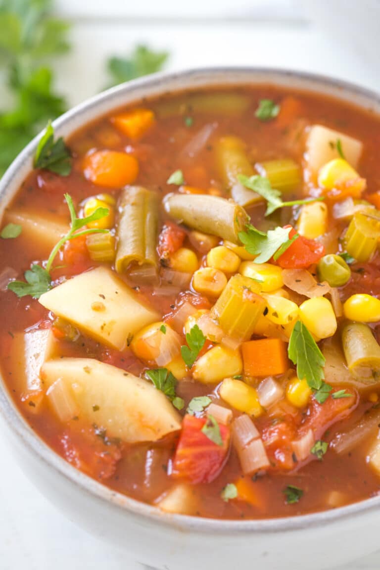 Slow Cooker Vegetable Soup - Gal on a Mission